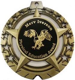 NEW 3.75 inch Star Insert Medallion